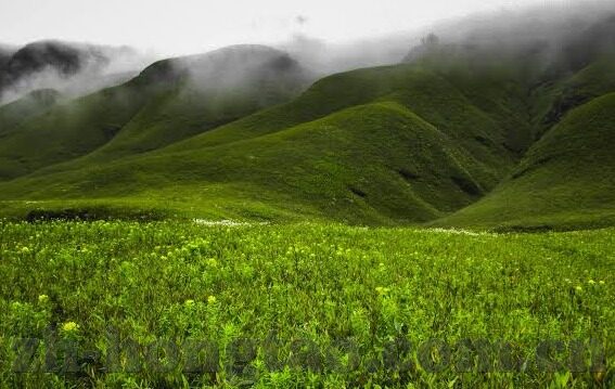 91麻豆传媒直播-探索直播平台的多样性，从91麻豆传媒直播说起