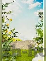 大象传媒短视频安卓-探索大象传媒短视频在安卓平台上的创新与影响