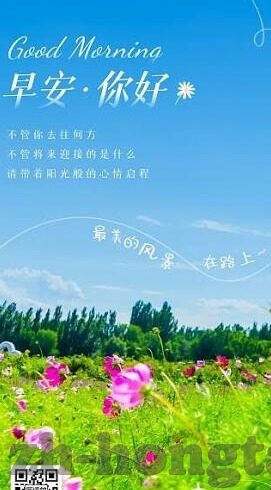 大象传媒视频地址-探索大象传媒视频平台的独特魅力与价值