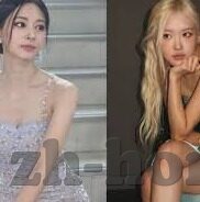 麻豆下载app下载苹果-麻豆下载，了解背后的逻辑与风险
