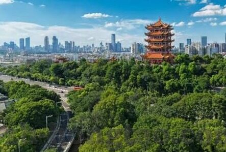 糖心app软件下载-探索新时代生活 —— 糖心app软件下载与实践
