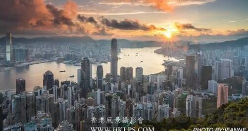 糖心色版app下载-寻找网络乐园的甜蜜，探索糖心色版App的精彩世界